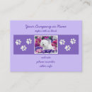 Recherche de west highland white terrier Dog