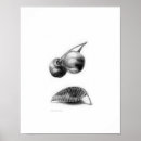 Recherche de lévitation posters Nature