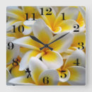 Recherche de fleur de plumeria Flore