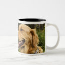 Suche nach retriever tassen Hund