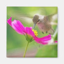 Suche nach lebende magnete Blume