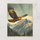 Suche nach goldener adler postkarten Raubvogel