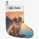Recherche de chien de bernard Pour animaux