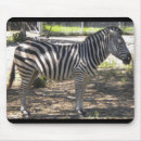 Suche nach schwarz weiße pferde mousepads Streifen