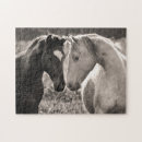 Recherche de cheval puzzles Paysages