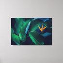 Suche nach tropischer regenwald leinwandbilder Blüte