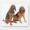 Recherche de sanglant tapis souris Chiot