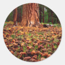 Recherche de talbot autocollants Amérique