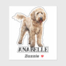 Suche nach goldendoodles aufkleber Hund