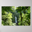 Suche nach tropical rainforest poster Natur