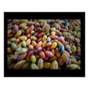 Recherche de cacao posters Amoureux du chocolat
