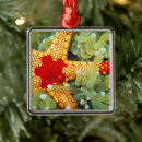 Suche nach gelbe fische ornamente Seestern