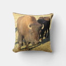 Suche nach bison kissen Herde