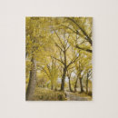 Suche nach waldweg puzzle Natur