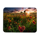 Recherche de fleurs sauvages magnets Paysage