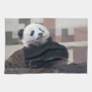 Recherche de ours cuisine linges Noir et blanc