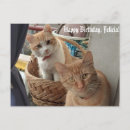 Recherche de gingembre vœux cartes Chats
