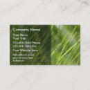 Recherche de service de yard cartes visite Herbe