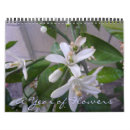 Recherche de très bien bureau fournitures Fleurs