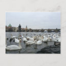 Recherche de rive cartes postales Pour tous