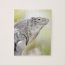 Recherche de lézard puzzles Animaux