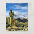 Recherche de color cartes postales Photography