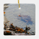 Recherche de sand ornements Nature