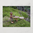 Recherche de glands cartes postales Acorn