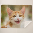 Suche nach meow decken Miauen