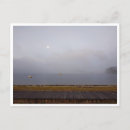 Recherche de camino cartes postales Camino de santiago