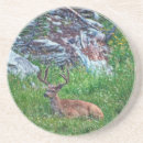 Recherche de buck dessous de verres Animal