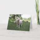 Suche nach lustige gesichts karten Foto