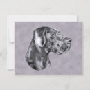 Recherche de great dane invitations Grand