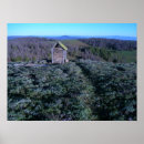 Suche nach ausblick poster View