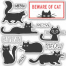 Recherche de grand chat coques Chaton