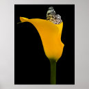 Suche nach schwarz gelb poster Flügel