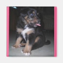 Suche nach zunge magnete Albern