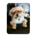 Suche nach brillen magnete Niedlich