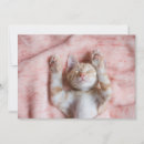 Recherche de felin vœux cartes Animaux domestiques