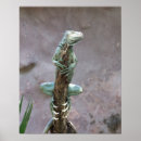 Suche nach leguan poster Reptil