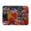 Suche nach herbstfarben magnete Blatt