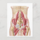 Recherche de ligament cartes postales Illustration