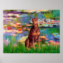 Recherche de pinscher Animaux