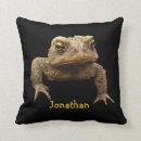 Suche nach lustiger frosch kissen Niedlich