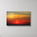 Suche nach schöner vogel leinwandbilder Sonnenuntergang