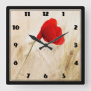 Recherche de pavots horloges Fleur