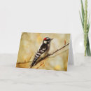 Suche nach spechte karten Specker