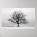 Suche nach winterbaum poster Schnee