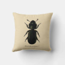 Recherche de scarabée Entomologie