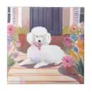 Recherche de chien de caniche carreaux Aquarelle